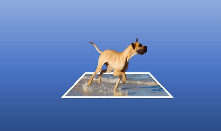 How to Make 3D Pop-Out Photo Effect in PowerPoint Tutorial