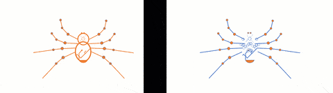 Crawling Spider Animation in GIF