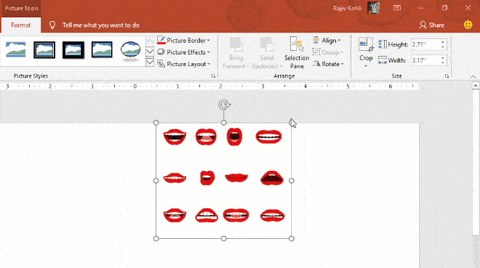 How To Crop A Picture in Microsoft PowerPoint