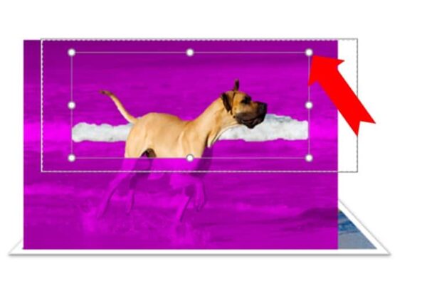 Remove Background in PowerPoint