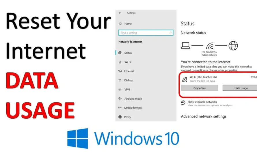How to Manually Reset Internet Data Usage in Windows 10